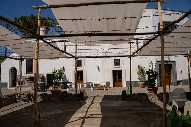 Full Day Tour in Pompei With Winery Lunch - Accessibility and Requirements