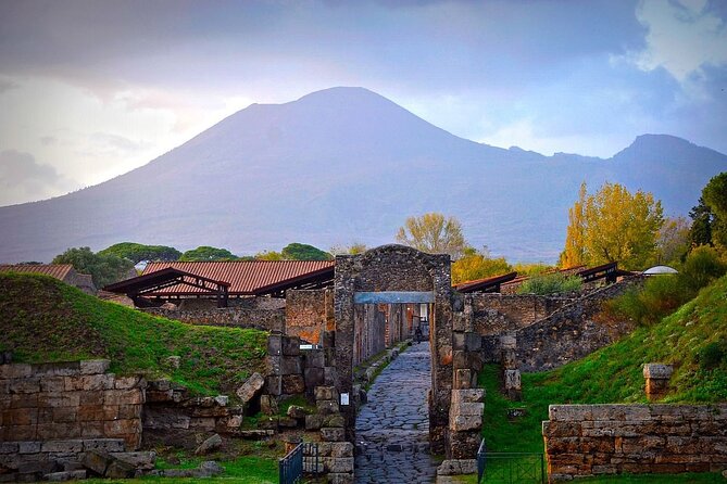 Full-Day Tour in Pompeii, Herculaneum and Vesuvius With Lunch - Tour Highlights