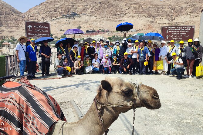 Full-day Tour to Jericho and the Dead Sea - Neve Midbar Beach