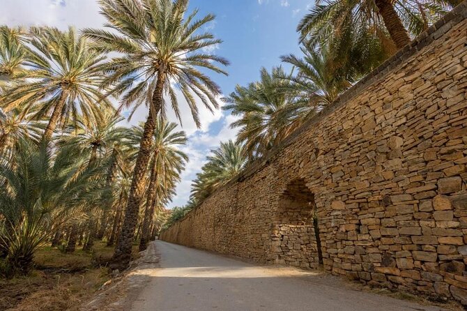 Full Day Tour to Nizwa Souq, Castle & Fort, Barakat Al Mouz - Reviews