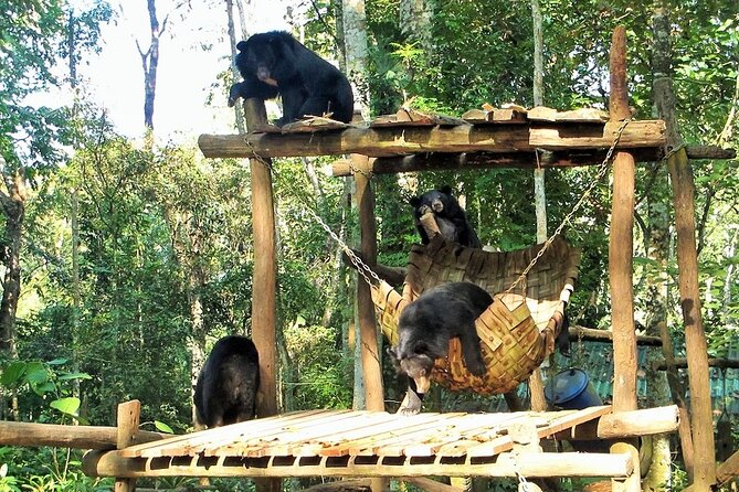 Full Day Tour To Pak Ou Caves, Traditional Village & Kuang Si Waterfall - Frequently Asked Questions