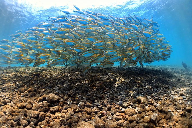 Fun Diving Tulamben Bali - For Certified Divers - The Sum Up