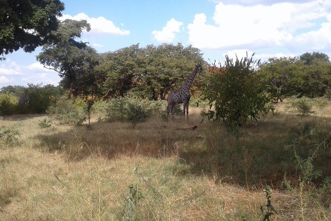 Game Drive And Rhino Walk - The Sum Up
