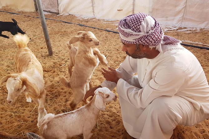German-speaking Safari Oman - Contact Information