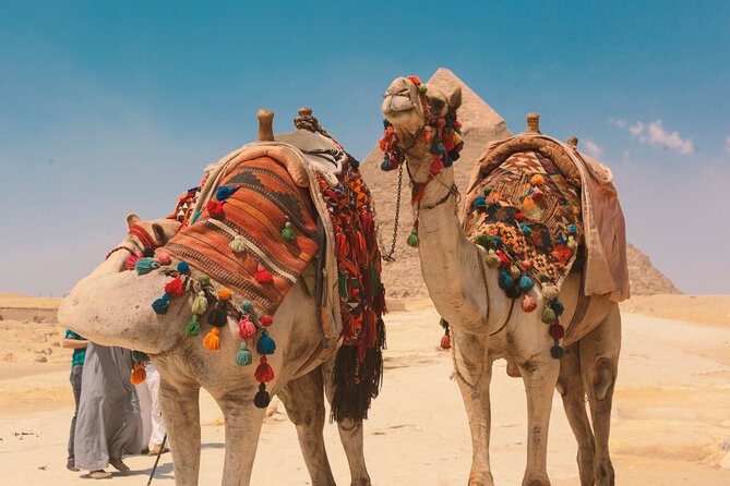 Giza Pyramids by Camel - Price and Cancellation Policy