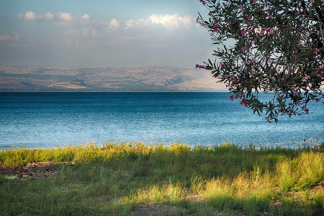 Golan Heights Biblical Day Trip From Tel Aviv - Booking Information