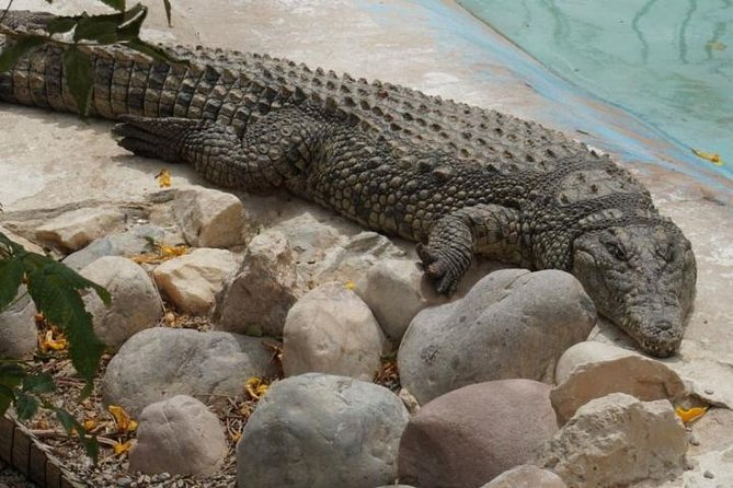 Grand Aquarium Hurghada - Cancellation Policy