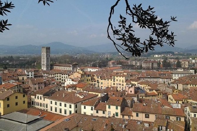 Guided Bike Tour of Lucca - Half Day Small Group - Accessibility Information