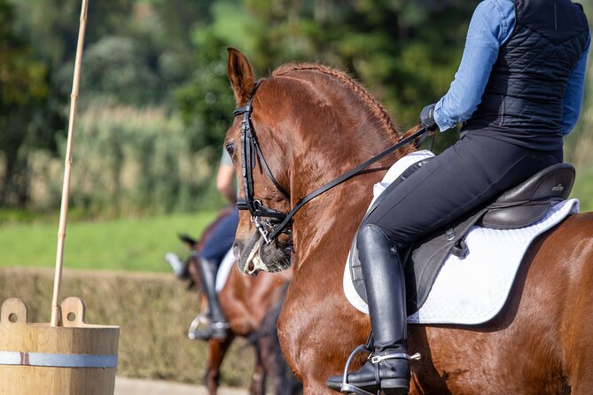 Guided Experience to Learn About Horses and Horse Care - Additional Information for Participants