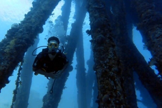 Guided Scuba Diving Adventure in Aqaba - Directions and Accessibility