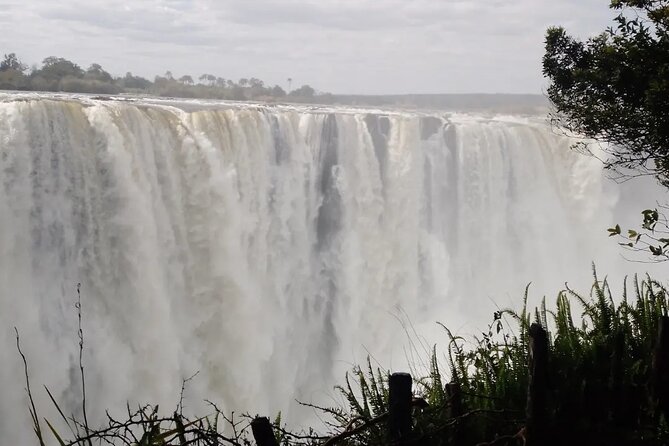 Guided Tour of the Falls - Learning About Zambezi River