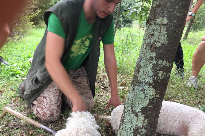 Guided Truffle Hunt Istria - Meeting and Pickup Details