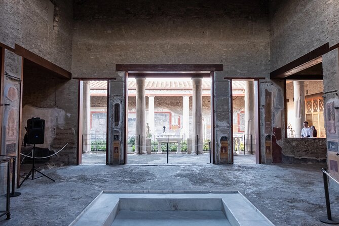 Guided Visit by an Archaeologist to the Ruins of Pompeii From Naples - Price and Booking Details