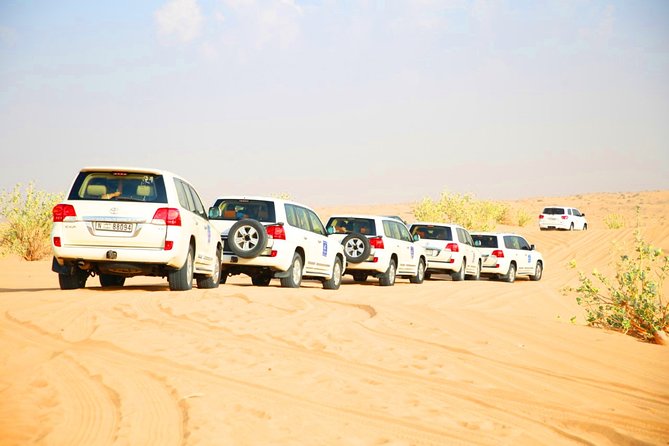 Half-Day Dubai Desert Safari Adventure With Show and Dinner - Pickup Details