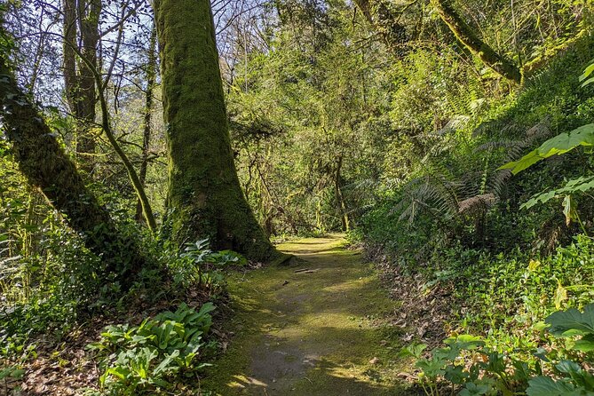 Half-Day Excursion Around Santiago - Cancellation Policy