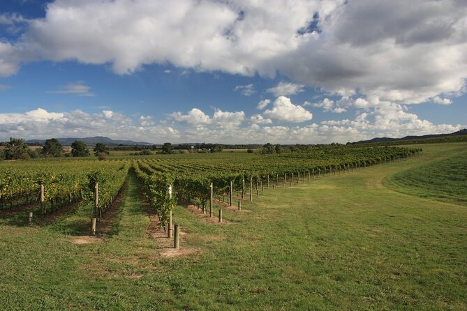Half-Day Gramma Wine Tasting Tour in Iasi - Price and Booking