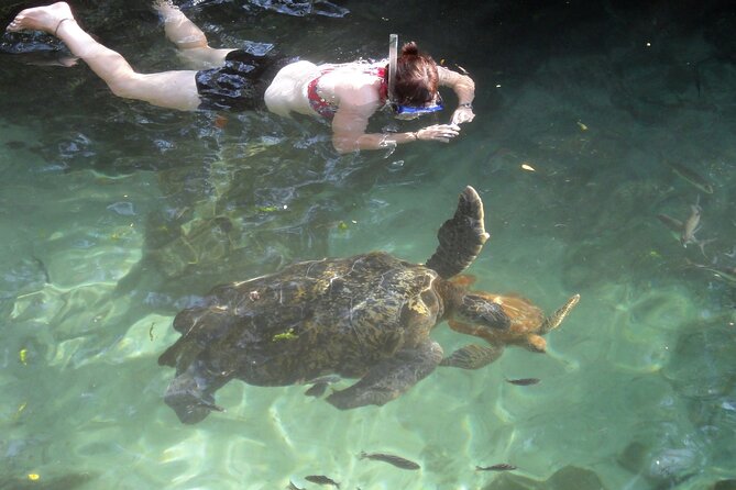 Half Day Group Tour to Mnemba Island for Snorkeling Activities - Booking Details