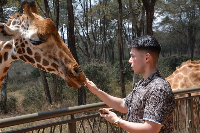 Half-Day Nairobi National Park and Maasai Market With Pick up - Tour Inclusions