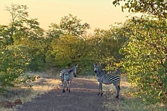 Half-Day Nature Walk in Mosi-Oa-Tunya National Park From Livingstone - Pricing Information