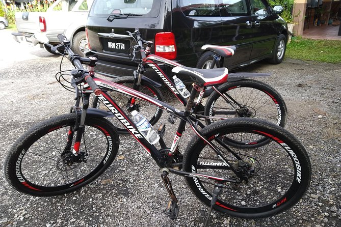 Half-Day Penang Countryside Cycling Tour - Customer Reviews and Ratings