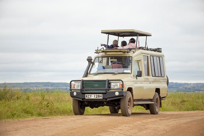 Half-Day Private Guided Safari Tour to Nairobi National Park - Logistics