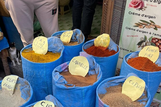 Half Day Private Guided Tour of the Medina of Fez - Schedule and Timing