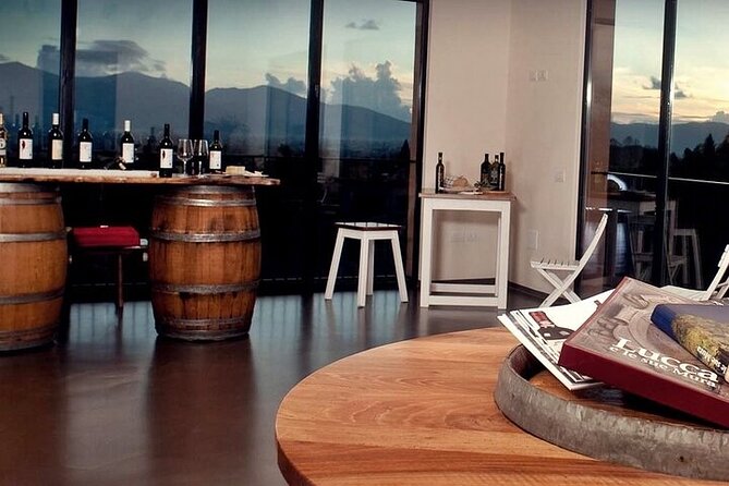 Half-Day Private Tour Visiting Villas With Wine Tasting - Tour Overview