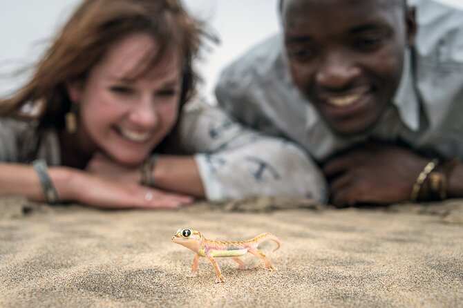 Half-Day Sandwich Harbour Tour From Walvis Bay With Lunch - Frequently Asked Questions