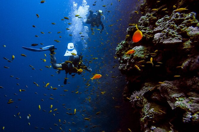 Half Day Scuba Diving Activity in Alanya - Reservation Process and Options