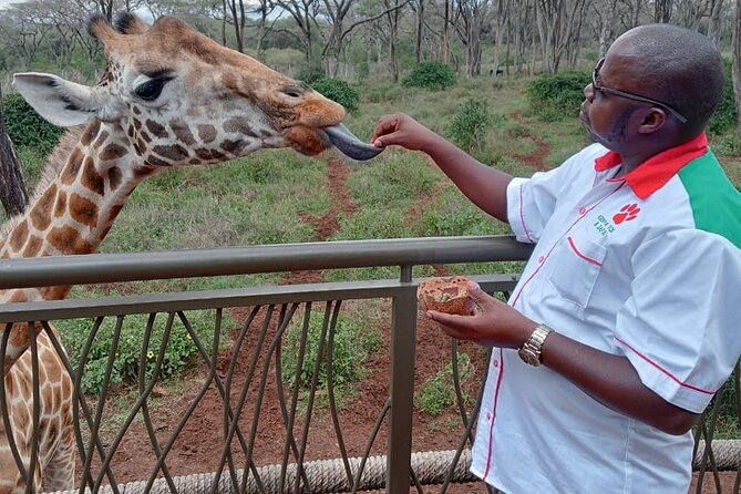 Half Day Tour Elephant Orphanage,Giraffe CenterKobe Beads Factory - Customer Feedback and Responses