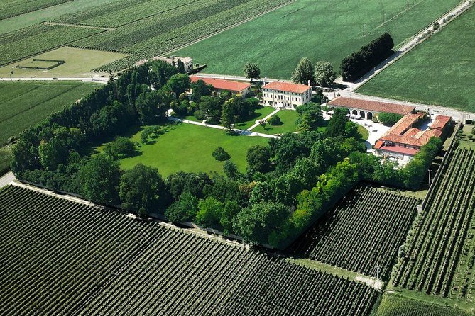 Half Day Venice Cruise Terminal Shore Excursion Wine Food Tasting Outlet Village - Meeting Point: Cruise Terminal Venezia