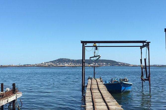 Highlights of Sète, Food and Wine Tour - Private Transportation Included