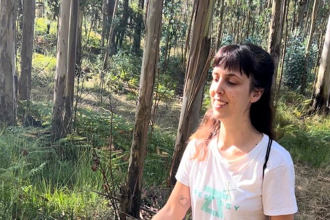 Hike With Meditation at the Top Of The Mountain - The Sum Up
