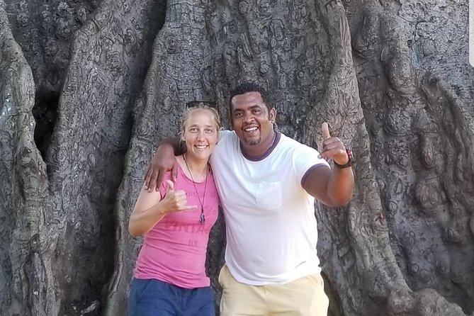 Hiking and Adventures in the Serra Malagueta Natural Park - The Sum Up