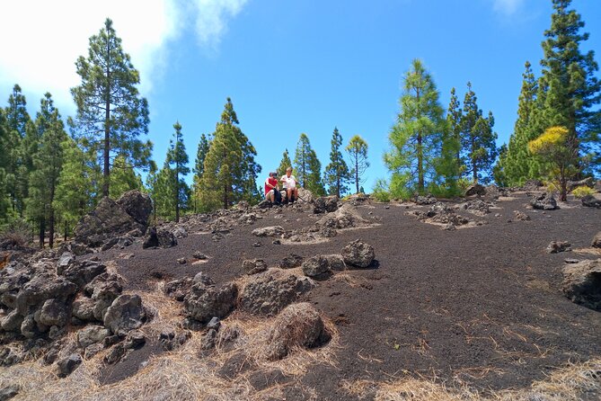 Hiking Classic Tenerife - Pricing and Reviews