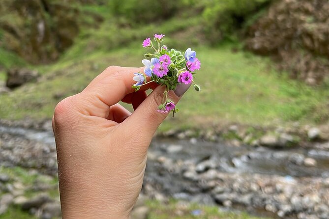 Hiking to Mystic Nisagala Canyon - Canyon Exploration
