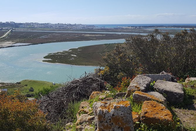 History and Prehistory in Northern Morocco: 1 Day Excursion Mzora and Lixus - Reviews and Ratings