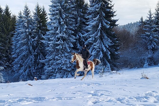 Horse Riding Day Trip in the Rila Mountain - Inclusions and Exclusions