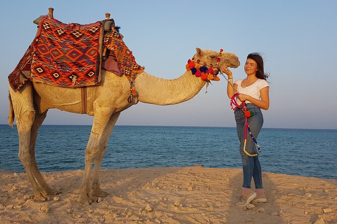 Horseback Or Camel Riding One Hour With Transfer - Sharm El Sheikh - Pricing and Booking
