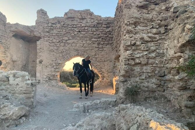 Horseback Riding on Essaouira Beach With Transport - Frequently Asked Questions