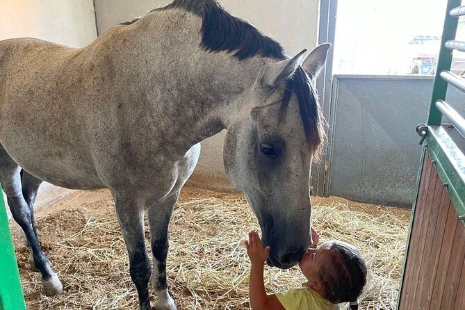 Horseback Riding Through the Apulian Countryside - Tour Information and Requirements