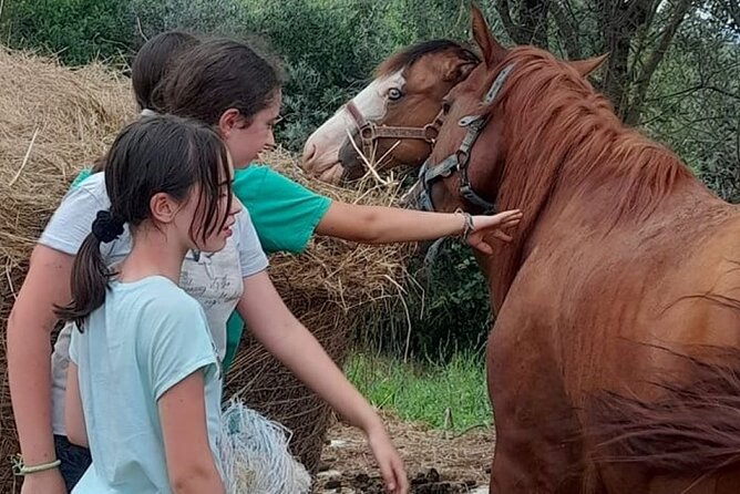 Horseback Riding Tour in the Chianti Hills in Tuscany - The Sum Up