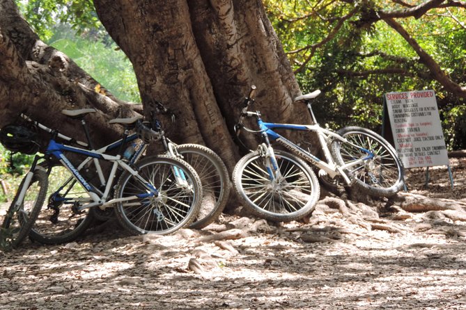 Hot Springs Bike Tour - Customer Reviews