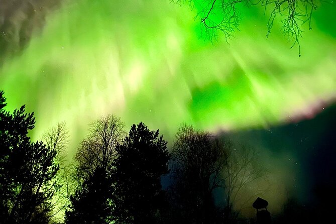 Hunting Aurora With BBQ in Small Group - Additional Information