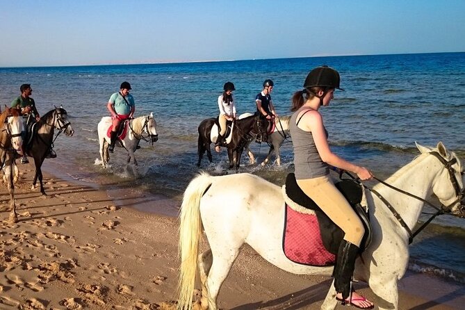 Hurghada: Arabian Desert and Sea Horseback Adventure - Booking Information and Pricing