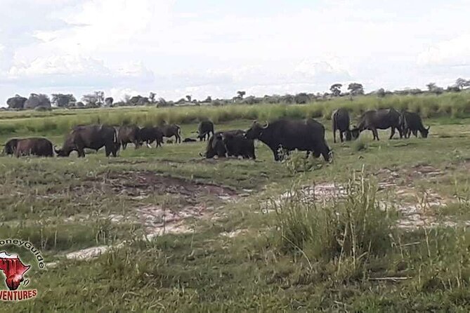 Hwange National Park 3 Days Package