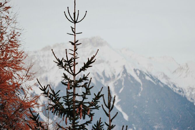 Innsbruck Christmas Market Tour - Accessibility Information