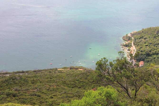 Jeep Tour Through Arrábida, Azeitão, and Wine Tasting - Meeting Point Details