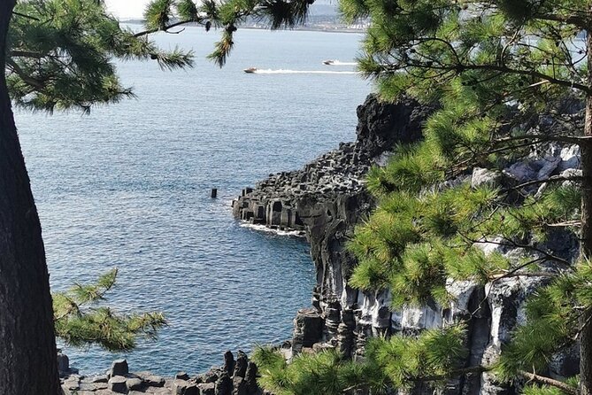 Jeju Island English Flexible Private Tour From 1 to 13, 10 Tours - Guide Recommendations