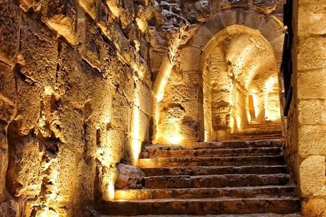 Jerash / Ajloun Castle Private Day Tour - Tour Inclusions